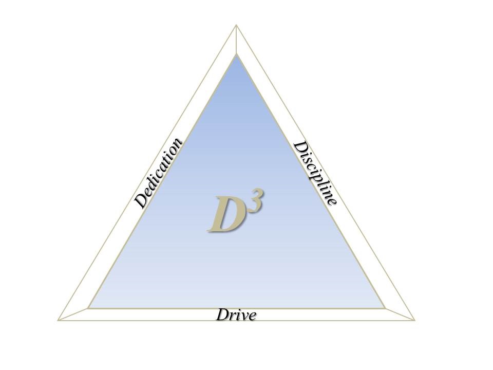 D3 Leadership Group, LLC