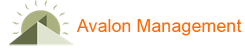 The Avalon Management Group, Inc.