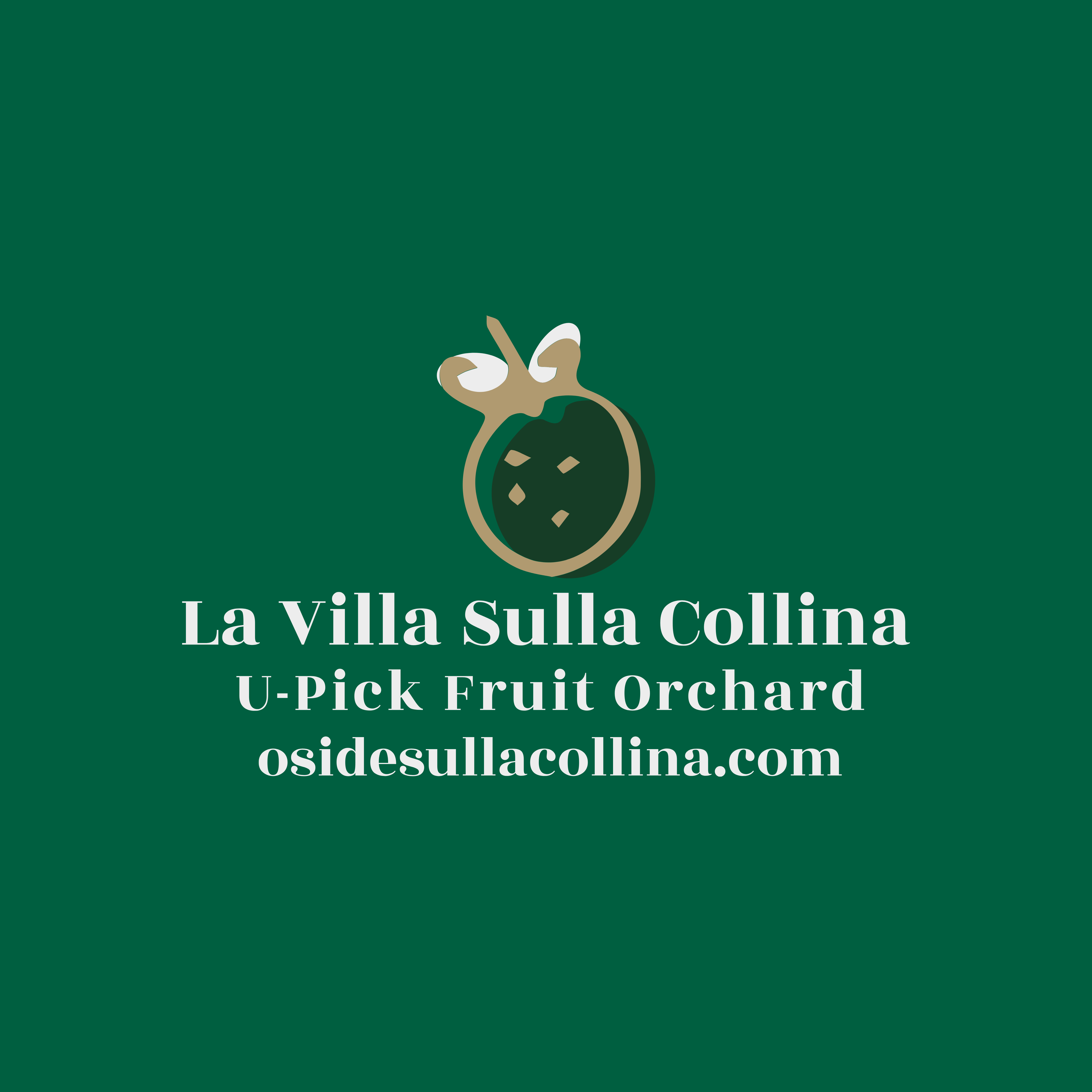 La Villa Sulla Collina U-Pick Tropical Orchard