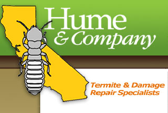 Hume & Company